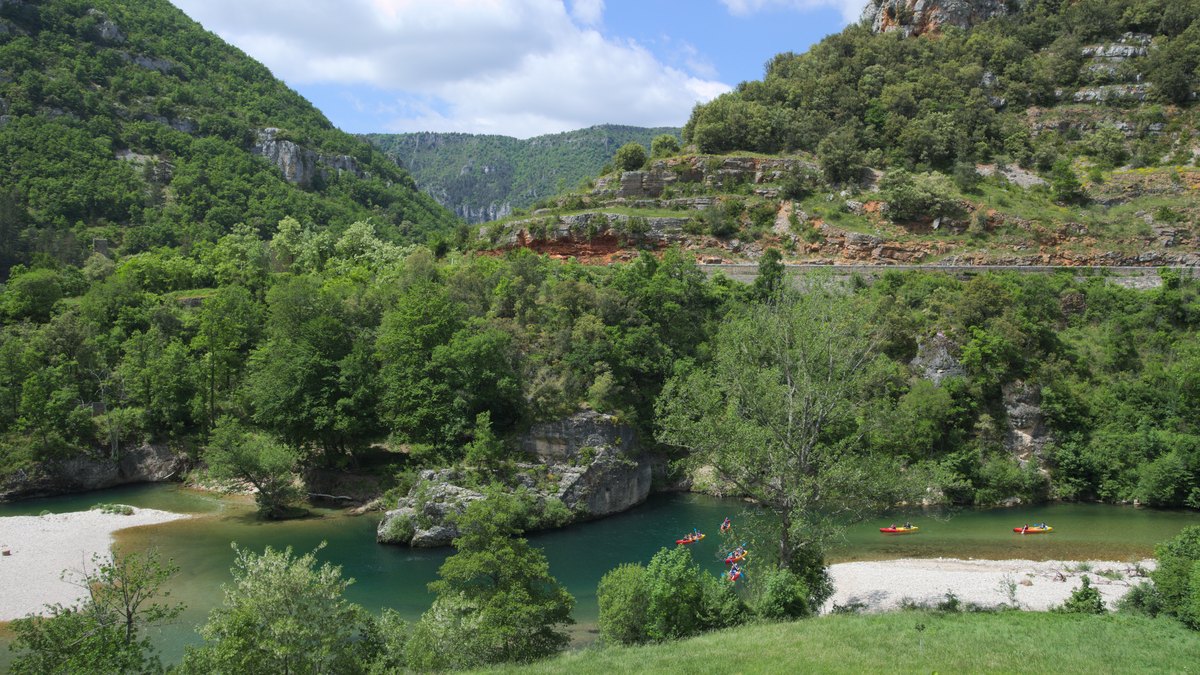Canoës sur le Tarn entre les falaises calcaires des Gorges du Tarn