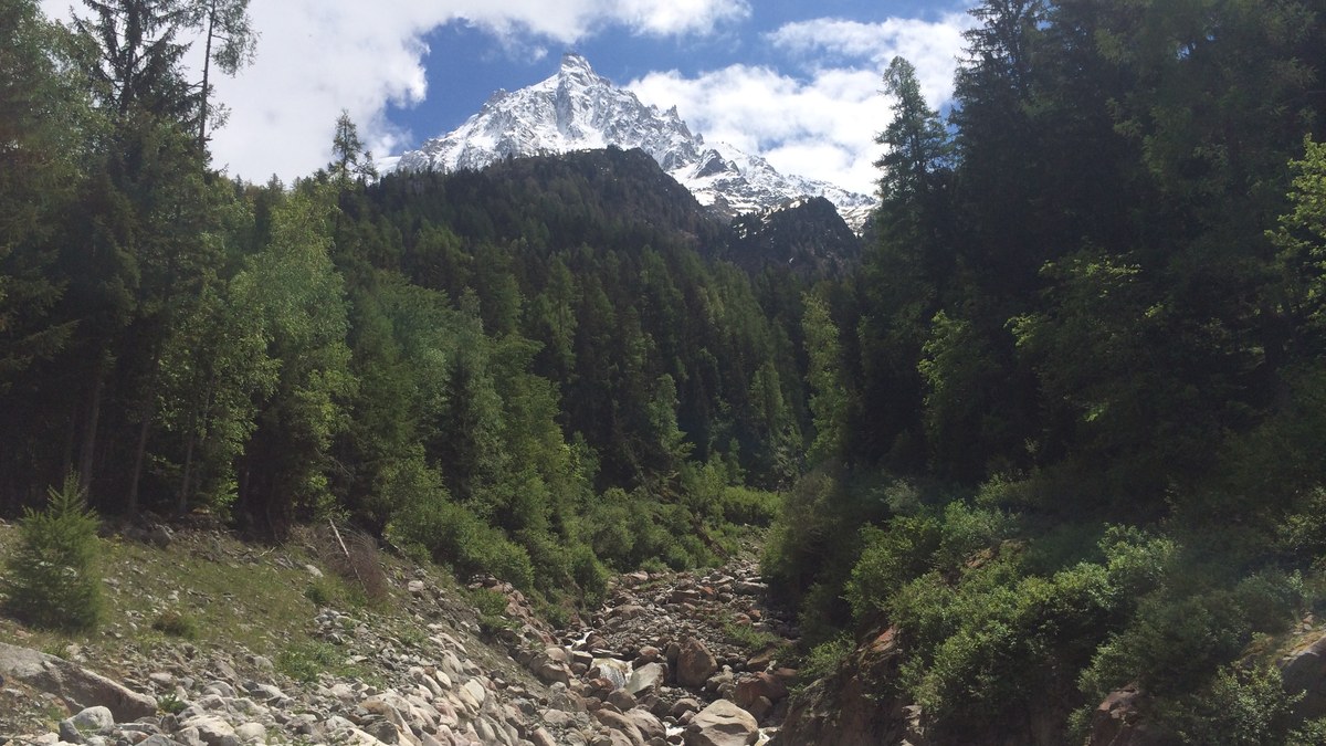 Sentier de randonnée traversant un ruisseau de montagne près de Chamonix