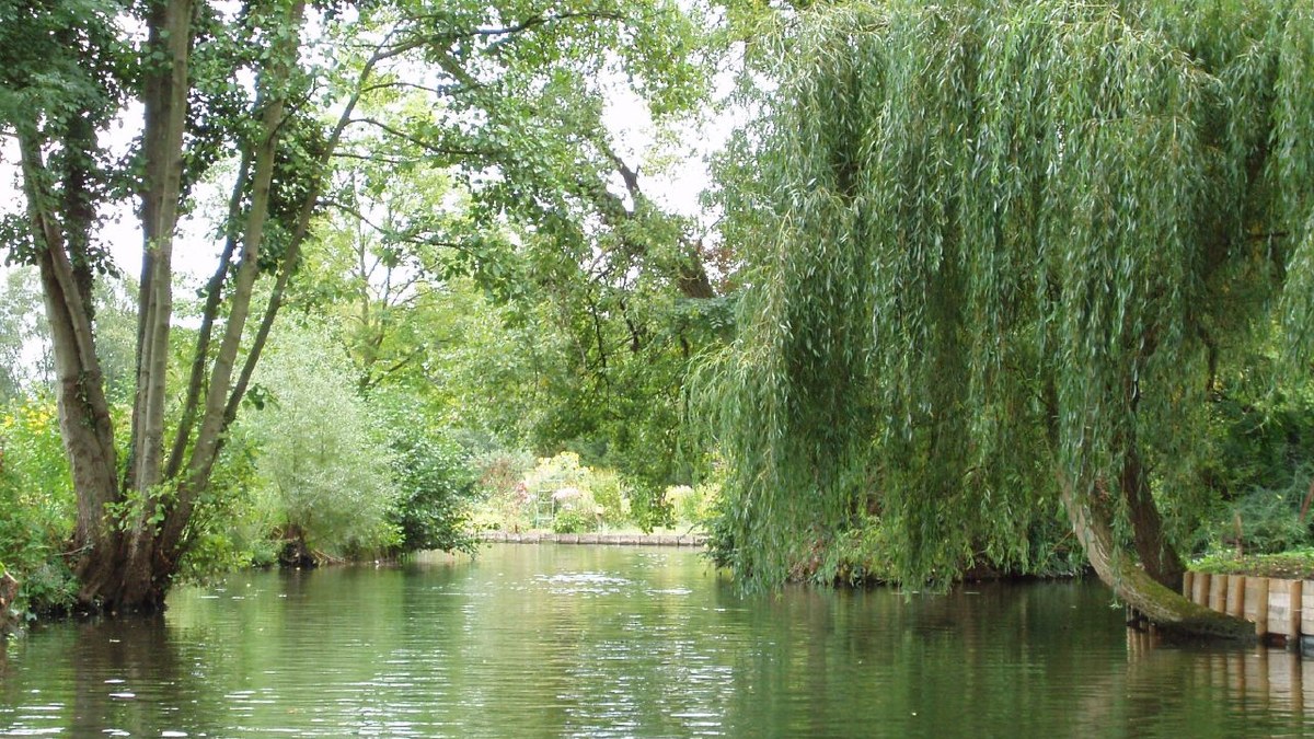 Canoë calme dans les canaux verts des Hortillonnages d Amiens