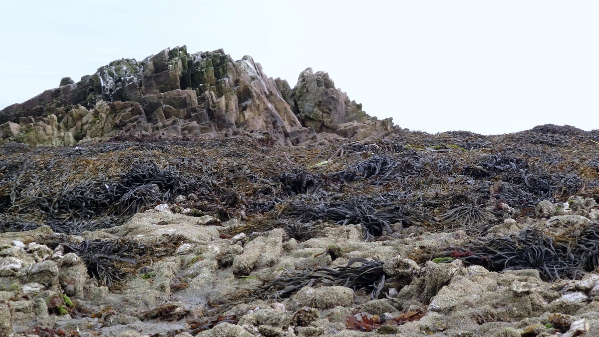 Kayak de mer sur une eau calme avec îles basses dans le Golfe du Morbihan
