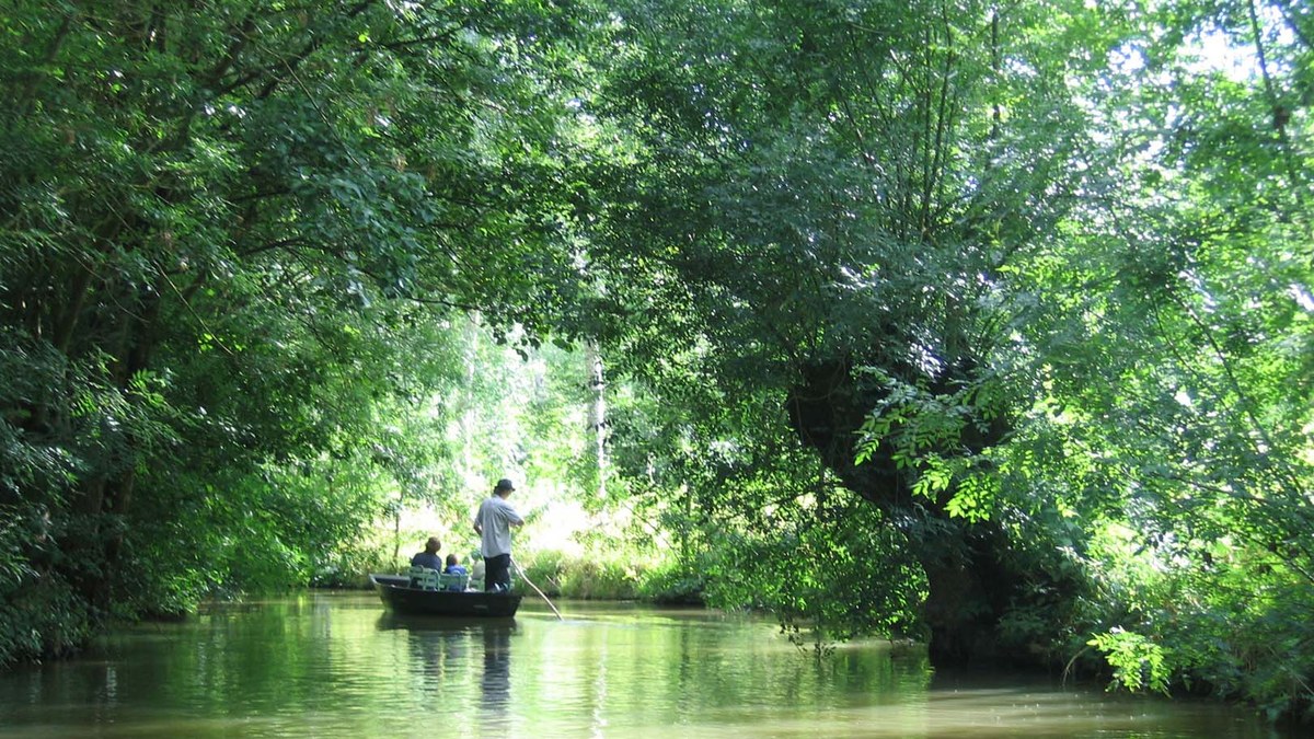 Canoë sur un canal arboré du Marais poitevin dans la Venise Verte