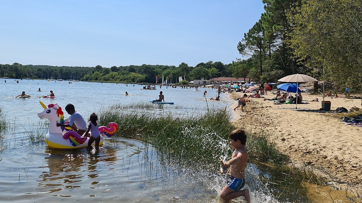Paddle et canoë sur le lac d Hourtin-Carcans avec pinède et roseaux en arrière-plan