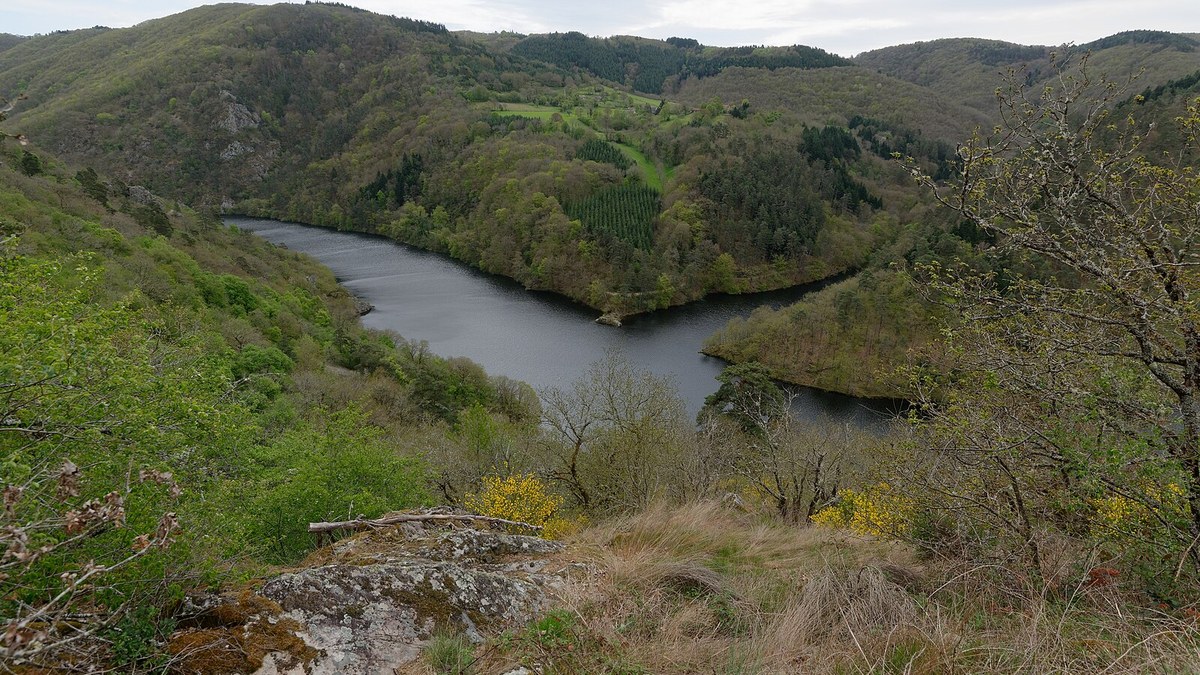 Canoës sur une rivière au pied de gorges boisées en Auvergne