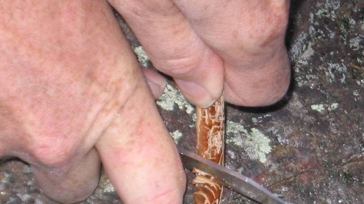 Couteau de randonnée utilisé pour préparer un petit bois d allumage au bivouac