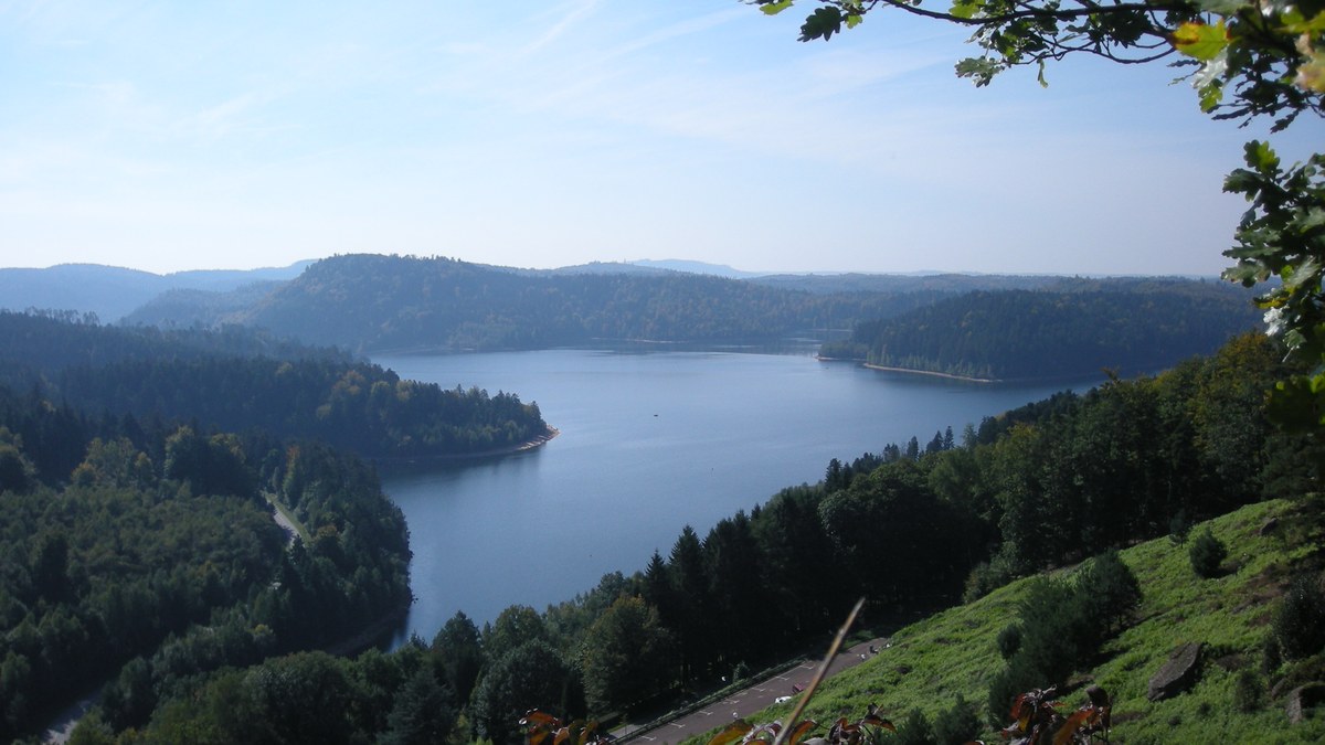 Kayak et paddle sur le lac de Pierre-Percée avec rives boisées