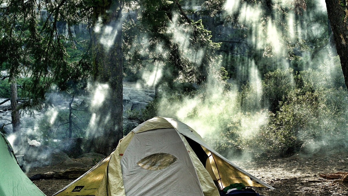 Tente de bivouac montée en forêt avec haubans et arceaux